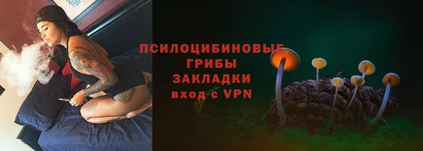 скорость mdpv Белокуриха