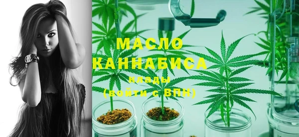 метадон Богданович
