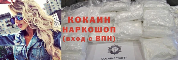 метадон Богданович
