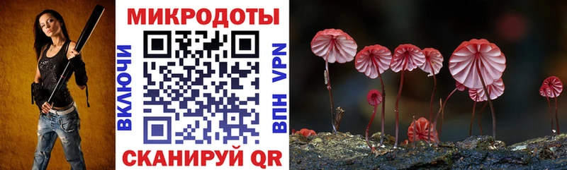 Купить Медвежьегорск Псилоцибиновые грибы Psilocybine cubensis
